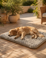 Matelas pour chien Dognaire , panier orthopédique, housse déhoussable lavable, M à XXL Dognaire