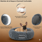 Le donut dognaire