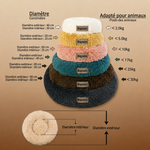 Le donut dognaire