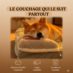 Le compagnon dognaire