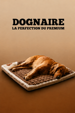 Le compagnon dognaire