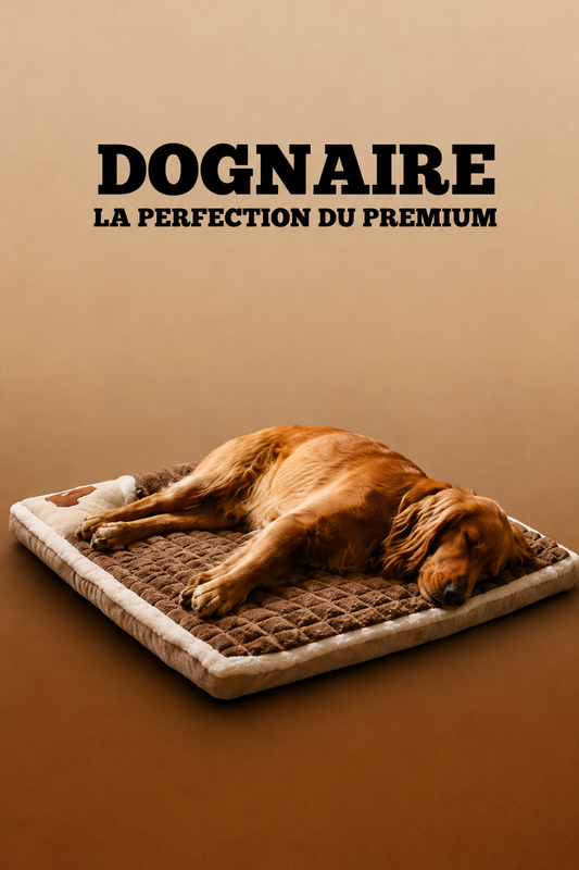 Le compagnon dognaire