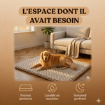 Le Matelas Dognaire