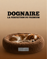 Le donut dognaire