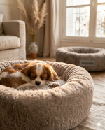 Le donut dognaire