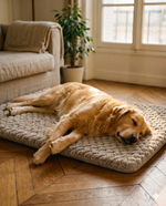 Le Matelas Dognaire