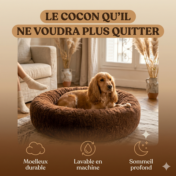 Le donut dognaire