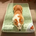 Coussin chien déhoussable Dognaire, pliable et léger, L à XXL